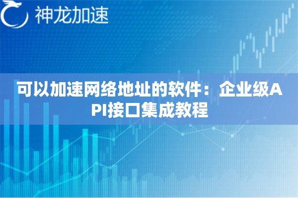 可以加速网络地址的软件:企业级API接口集成教程 可以加速网络地址的软件:企业级API接口集成教程