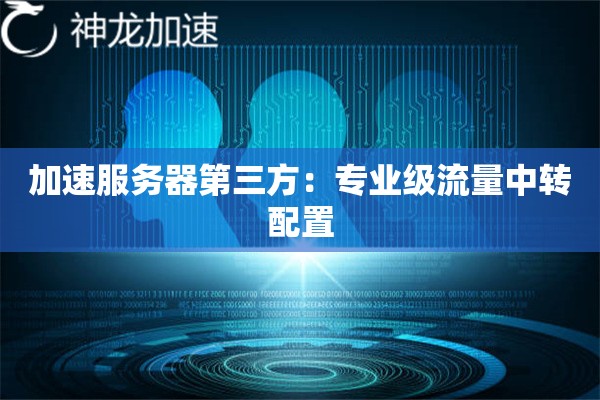 加速服务器第三方:专业级流量中转配置 加速服务器第三方:专业级流量中转配置