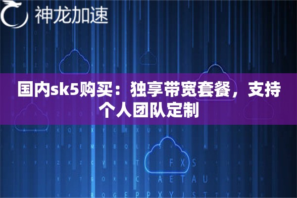 国内sk5购买:独享带宽套餐,支持个人团队定制 国内sk5购买:独享带宽套餐,支持个人团队定制