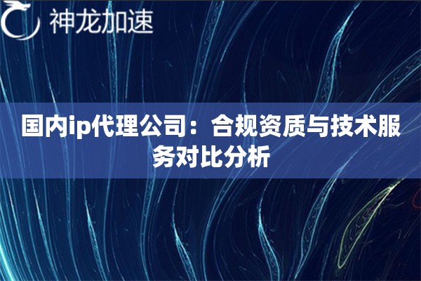 国内ip代理公司：合规资质与技术服务对比分析