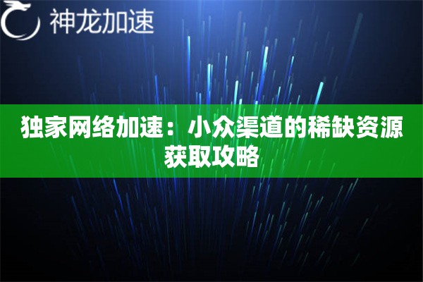 独家网络加速:小众渠道的稀缺资源获取攻略 独家网络加速:小众渠道的稀缺资源获取攻略