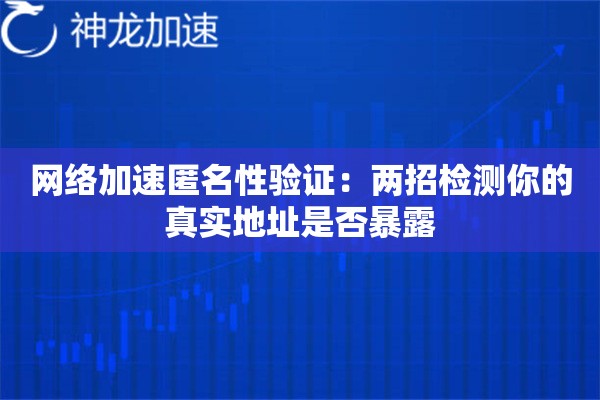 网络加速匿名性验证:两招检测你的真实地址是否暴露 网络加速匿名性验证:两招检测你的真实地址是否暴露