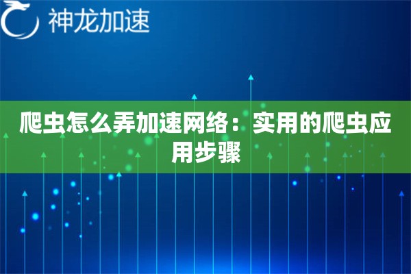 爬虫怎么弄加速网络:实用的爬虫应用步骤 爬虫怎么弄加速网络:实用的爬虫应用步骤
