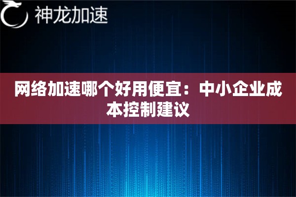 网络加速哪个好用便宜:中小企业成本控制建议 网络加速哪个好用便宜:中小企业成本控制建议