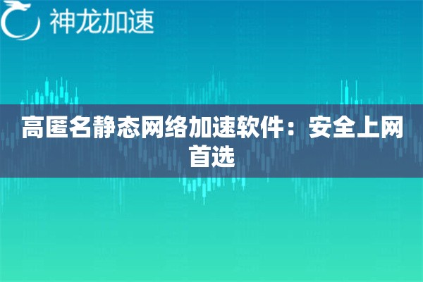 高匿名静态网络加速软件:安全上网首选 高匿名静态网络加速软件:安全上网首选