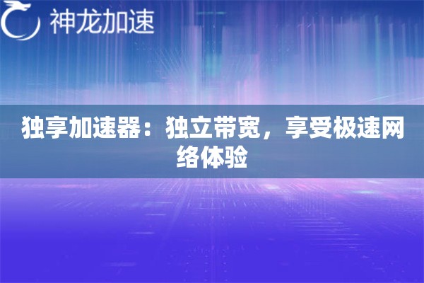 独享加速器:独立带宽,享受极速网络体验 独享加速器:独立带宽,享受极速网络体验