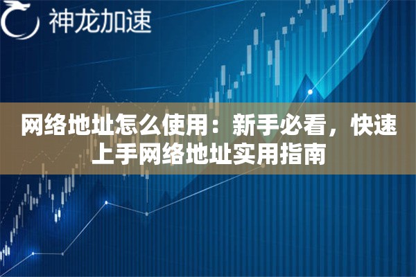 网络地址怎么使用:新手必看,快速上手网络地址实用指南 网络地址怎么使用:新手必看,快速上手网络地址实用指南