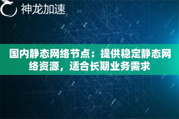 国内静态网络节点：提供稳定静态网络资源，适合长期业务需求