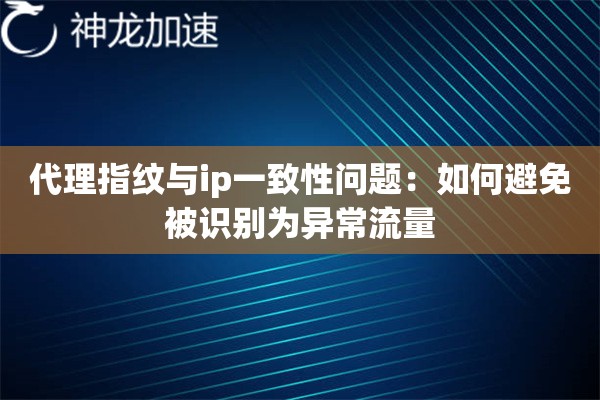 代理指纹与ip一致性问题：如何避免被识别为异常流量