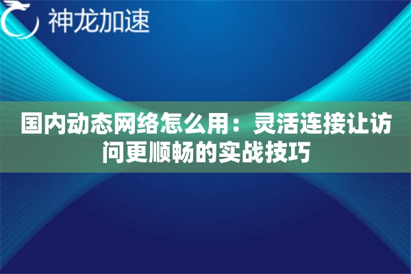 国内动态网络怎么用:灵活连接让访问更顺畅的实战技巧 国内动态网络怎么用:灵活连接让访问更顺畅的实战技巧