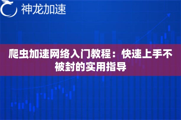 爬虫加速网络入门教程:快速上手不被封的实用指导 爬虫加速网络入门教程:快速上手不被封的实用指导