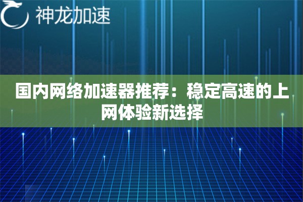 国内网络加速器推荐:稳定高速的上网体验新选择 国内网络加速器推荐:稳定高速的上网体验新选择