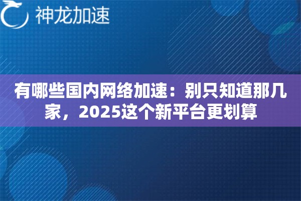 有哪些国内网络加速:别只知道那几家,2025这个新平台更划算 有哪些国内网络加速:别只知道那几家,2025这个新平台更划算