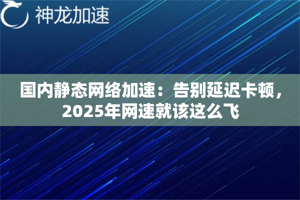国内静态网络加速:告别延迟卡顿,2025年网速就该这么飞 国内静态网络加速:告别延迟卡顿,2025年网速就该这么飞