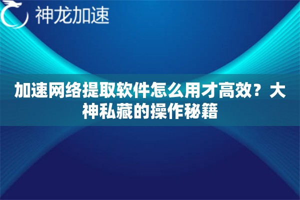 加速网络提取软件怎么用才高效？大神私藏的操作秘籍