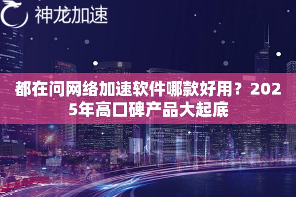 都在问网络加速软件哪款好用？2025年高口碑产品大起底