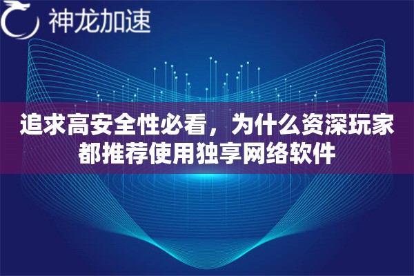 追求高安全性必看，为什么资深玩家都推荐使用独享网络软件