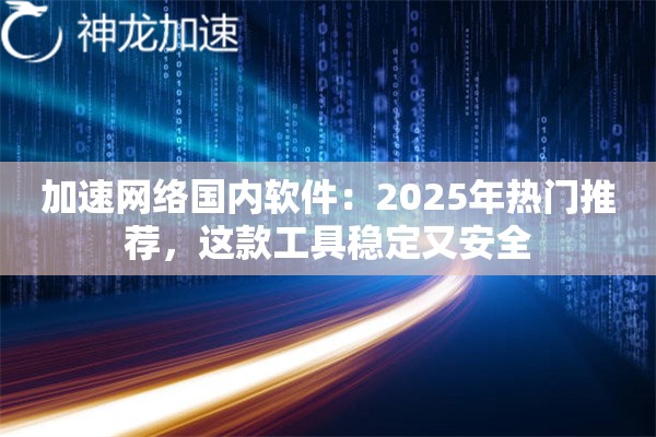 加速网络国内软件：2025年热门推荐，这款工具稳定又安全