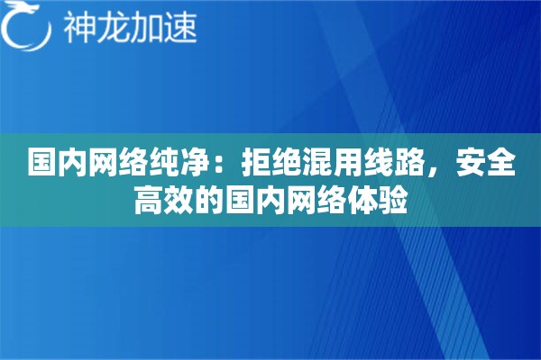 国内网络纯净：拒绝混用线路，安全高效的国内网络体验