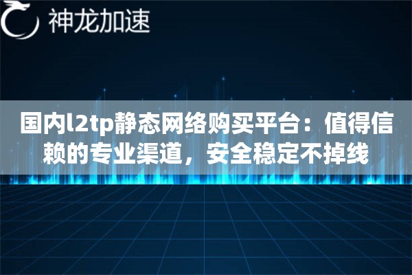 国内l2tp静态网络购买平台：值得信赖的专业渠道，安全稳定不掉线