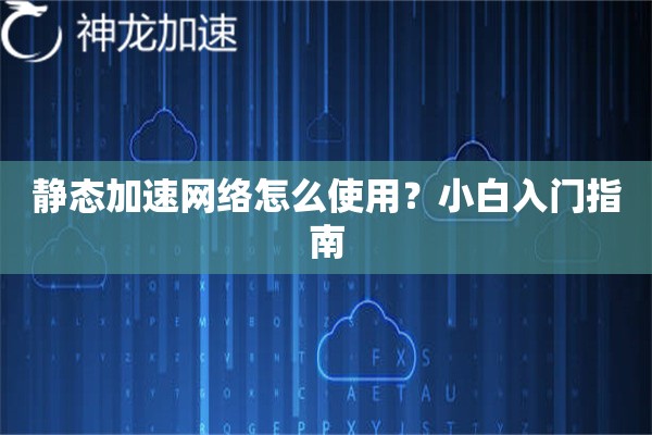静态加速网络怎么使用？小白入门指南