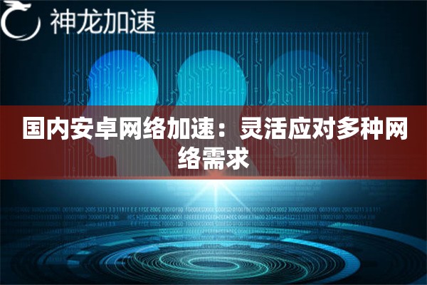 国内安卓网络加速：灵活应对多种网络需求